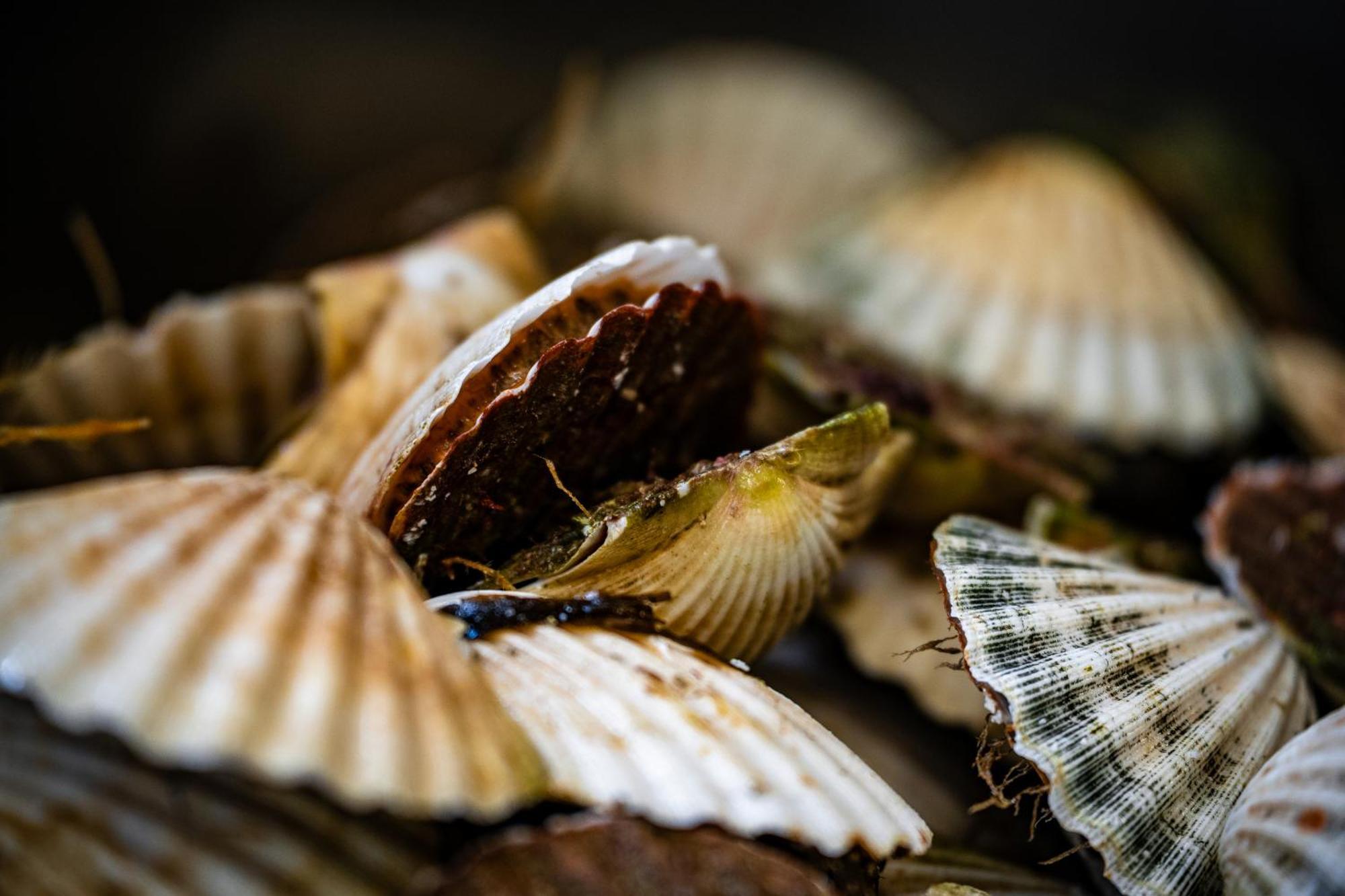 Murray Arms Hotel And Seafood Restaurant, Orkney Saint Margarets Hope ภายนอก รูปภาพ